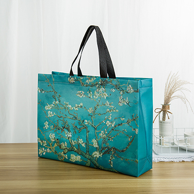 Bolsa de asas laminada no tejida