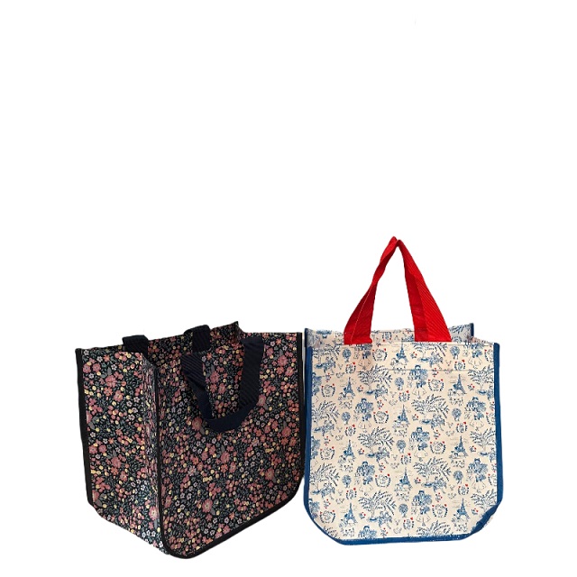 E-Co Friendly Bag Style Hanbag no tejido con impreso personalizado