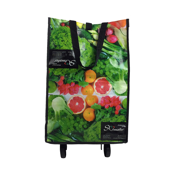 Bolsa de compras ecológica con ruedas