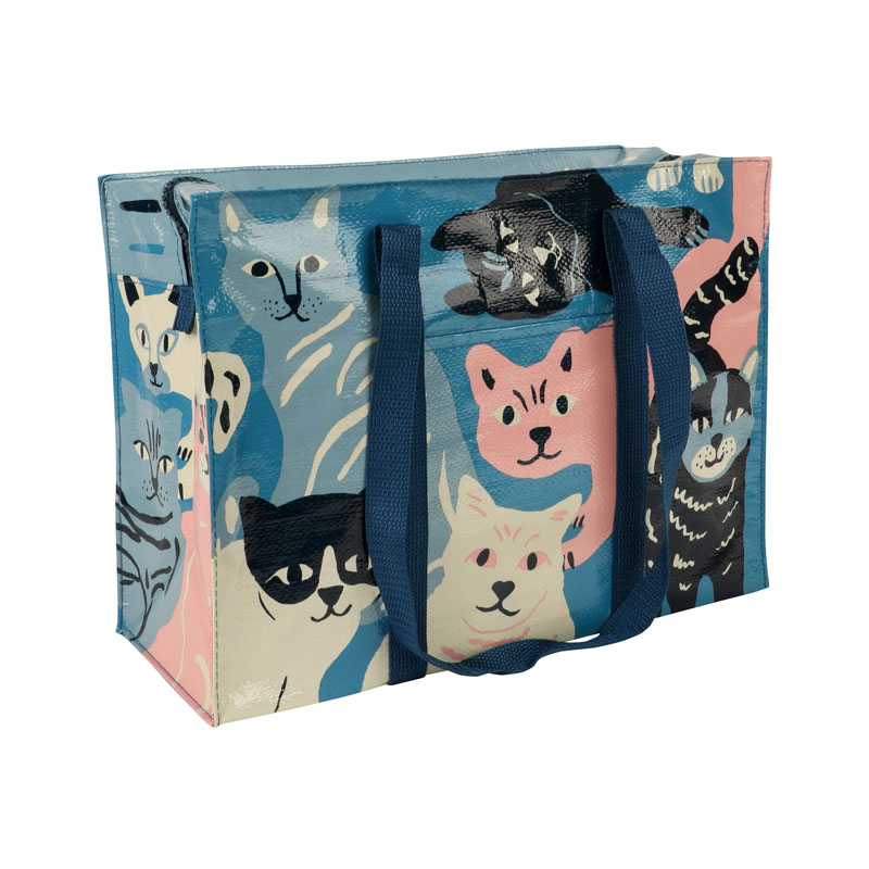 Bolsa de cremallera tejida PP laminada