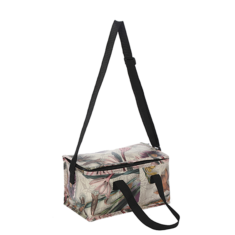 Bolso más fresco del almuerzo del nuevo estilo