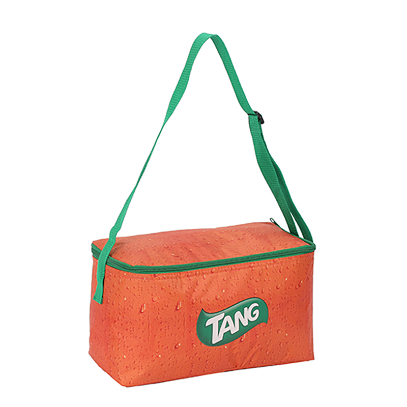 Bolsa de almuerzo más fresca promocional