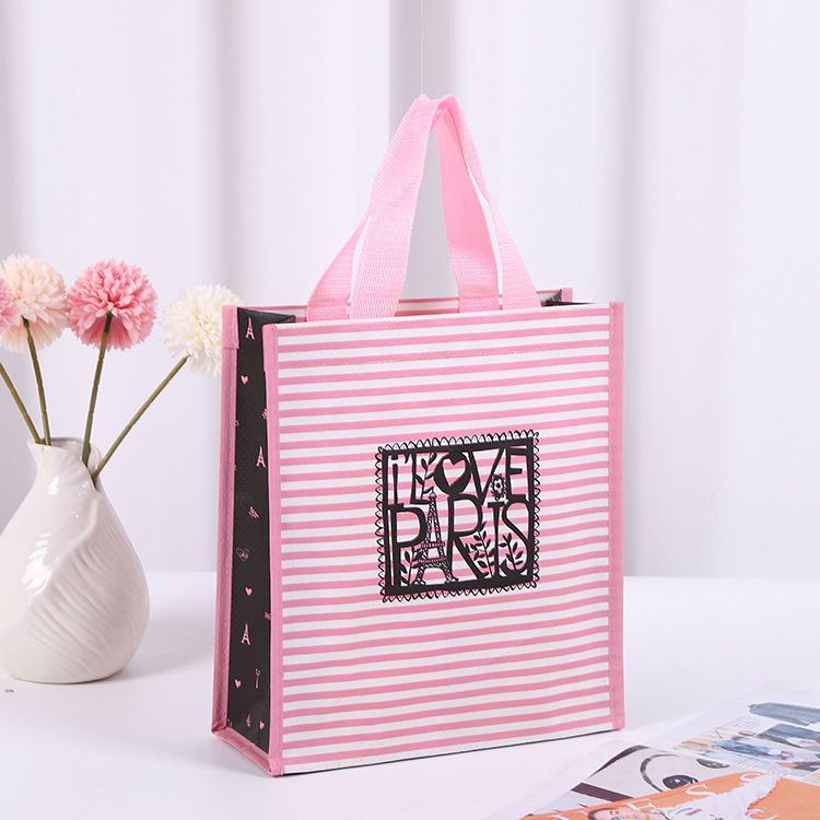 Bolsas de compras reutilizables